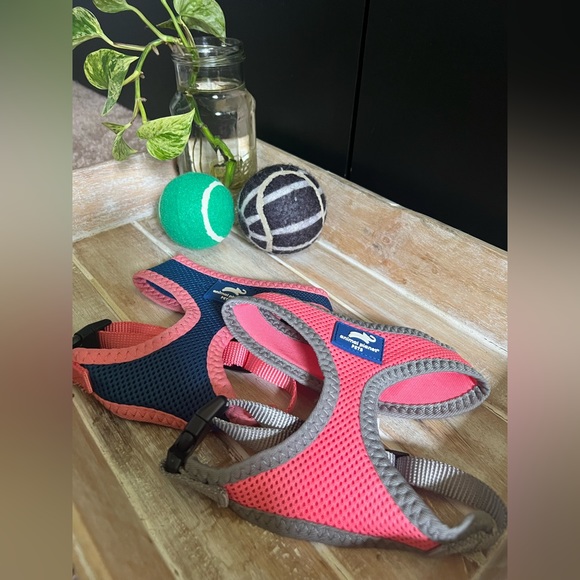 Set of small harnesses - Picture 1 of 5